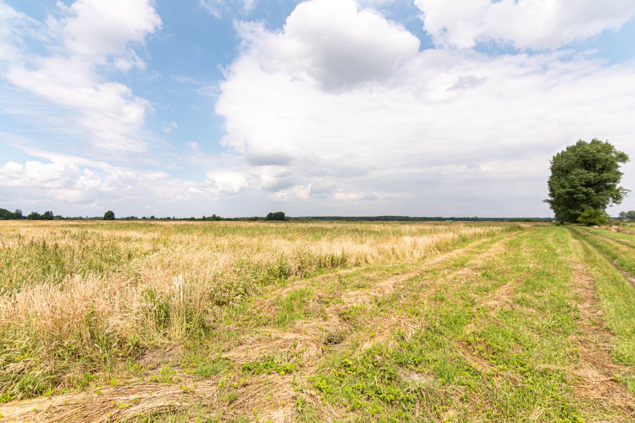 Działka rolna Rurzyca, ul. Łąkowa. Zdjęcie 2