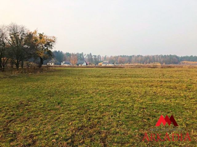 Działka inwestycyjna Aleksandrów Kujawski. Zdjęcie 7