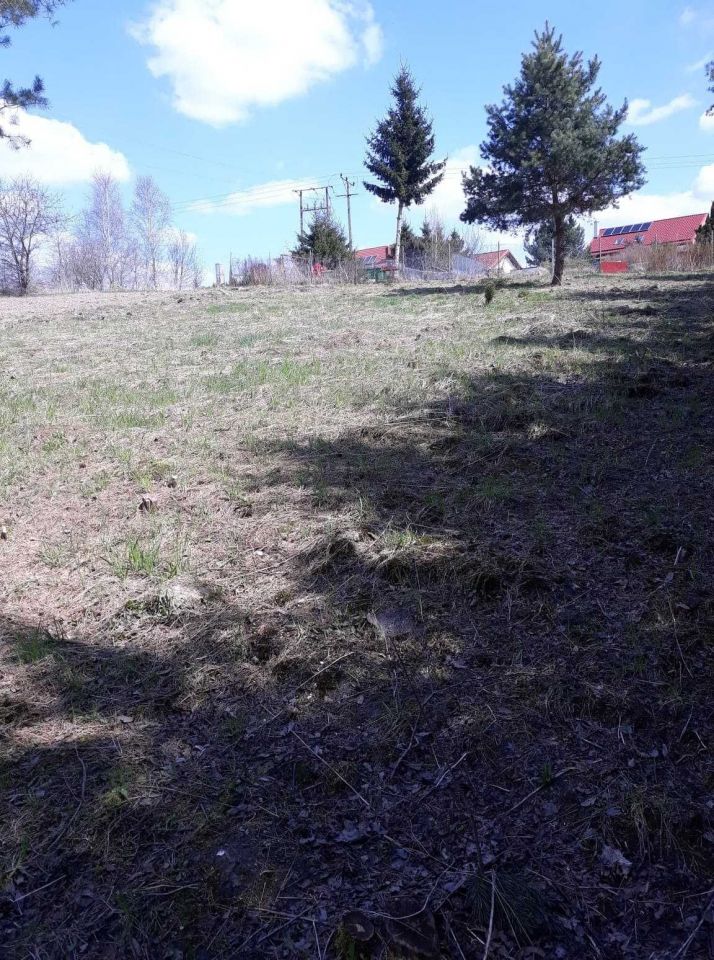 Działka rolno-budowlana Patryki. Zdjęcie 5