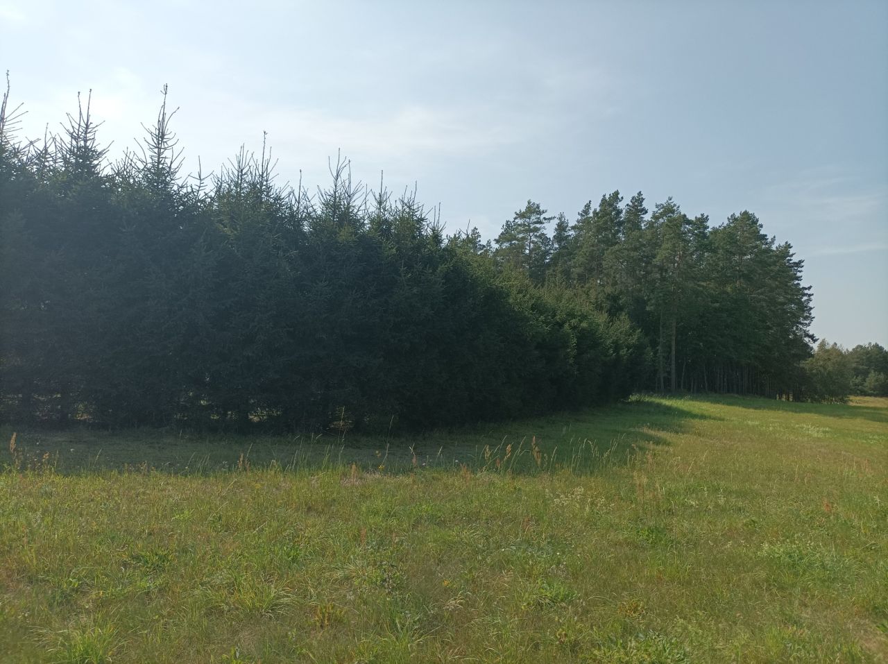 dom wolnostojący, 6 pokoi Młynowo. Zdjęcie 18