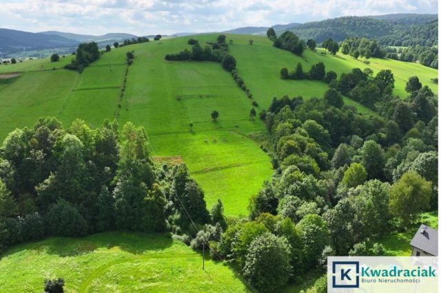 Działka budowlana Hołuczków. Zdjęcie 6