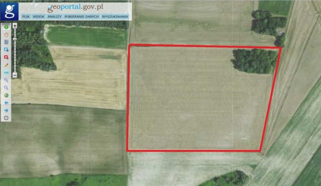 Działka rolna Wąworków. Zdjęcie 1