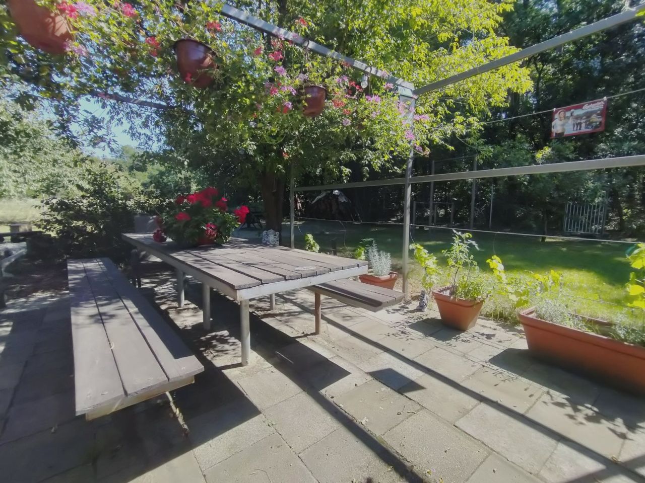 Działka rod Zielona Góra. Zdjęcie 2