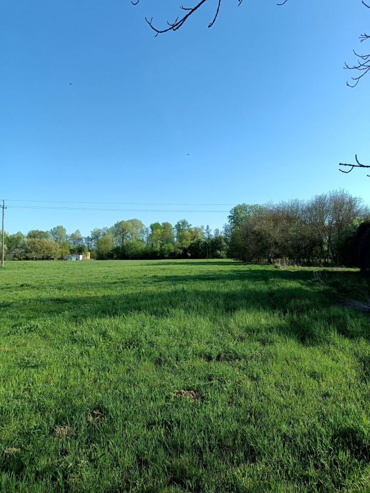 Działka siedliskowa Kępa Oborska. Zdjęcie 1