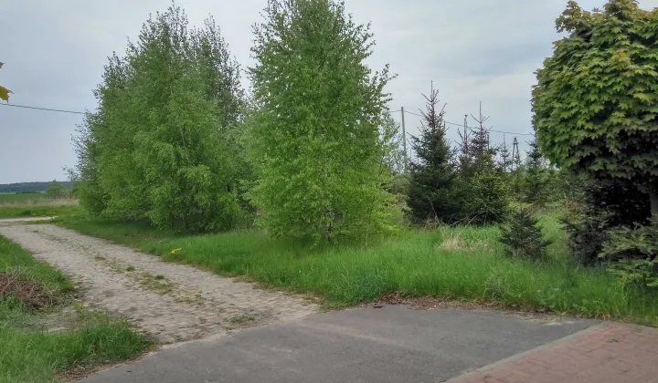 Działka budowlana Wapno, ul. Solna