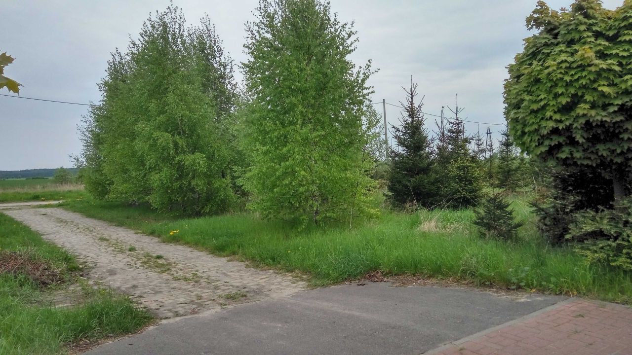 Działka budowlana Wapno, ul. Solna. Zdjęcie 2