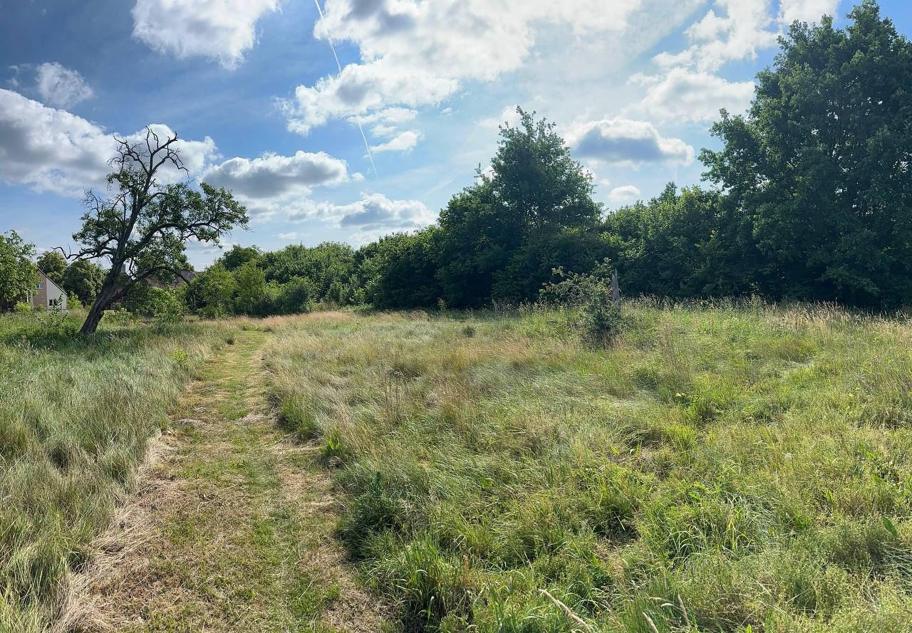 Działka budowlana Strzegów. Zdjęcie 5