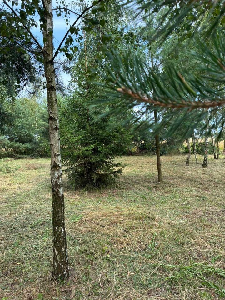 Działka budowlana Wilczkowo. Zdjęcie 5