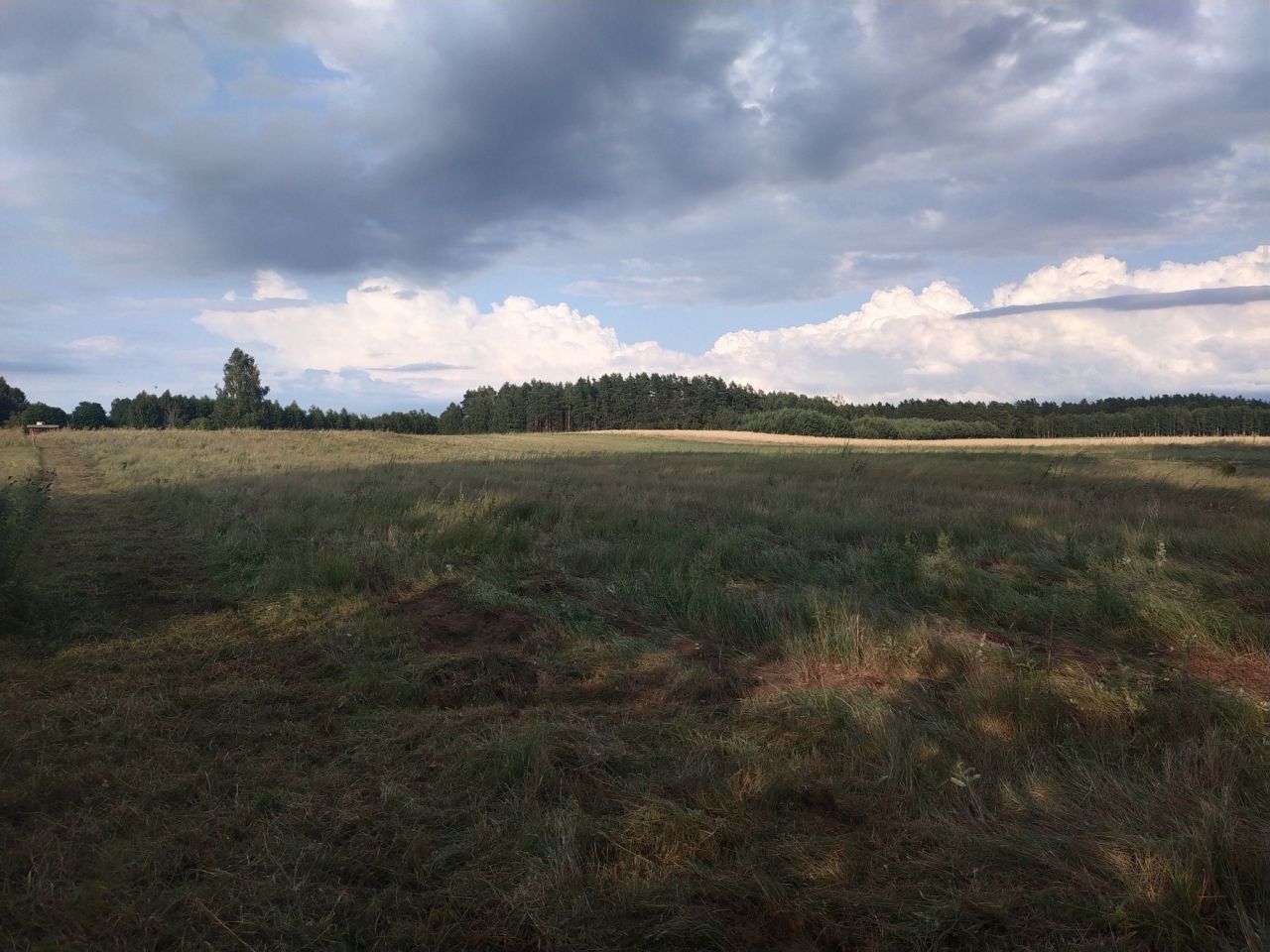 Działka rolno-budowlana Huta. Zdjęcie 6