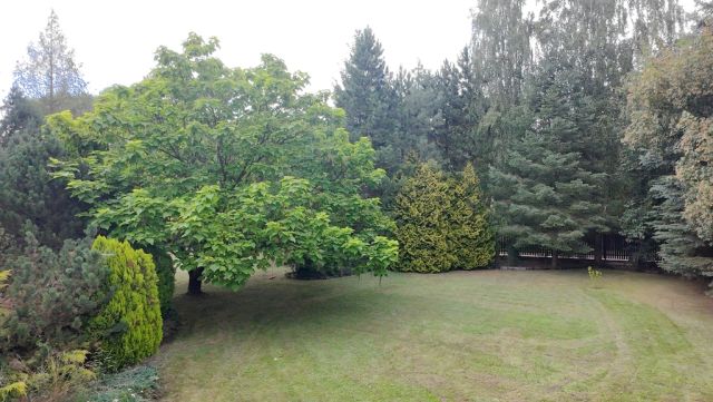 dom wolnostojący, 6 pokoi Złotokłos. Zdjęcie 10