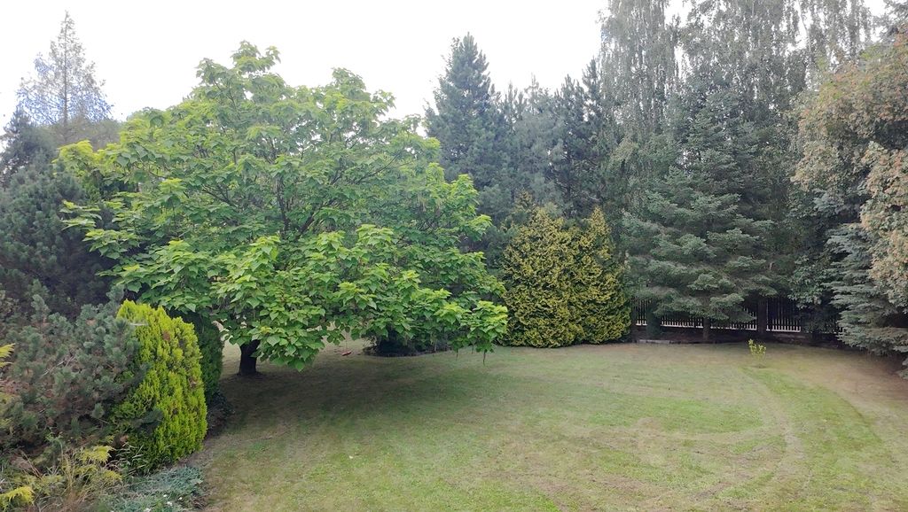 dom wolnostojący, 6 pokoi Złotokłos. Zdjęcie 10