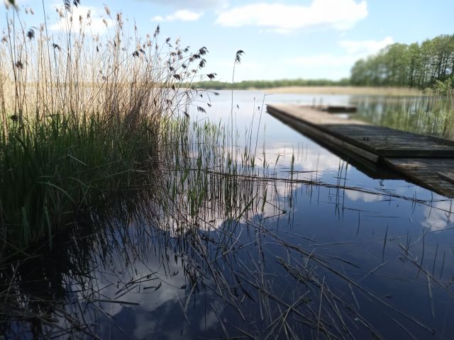 Działka budowlana Stary Gieląd. Zdjęcie 1