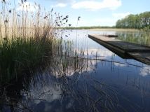 Działka budowlana Stary Gieląd