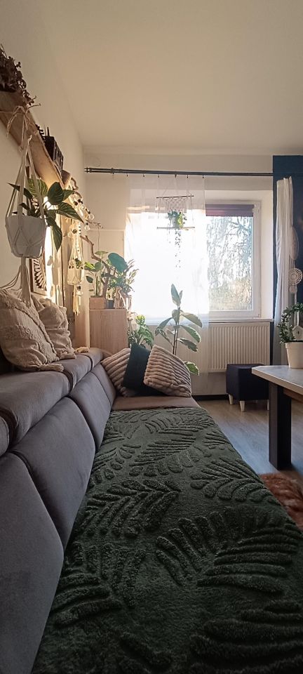 bliźniak, 3 pokoje Jarosław. Zdjęcie 17