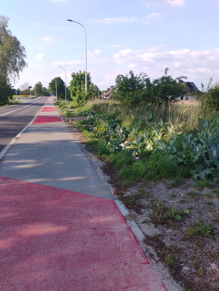 Działka budowlana Bychawka Trzecia. Zdjęcie 4