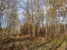 Działka budowlana Wymiarki. Zdjęcie 4