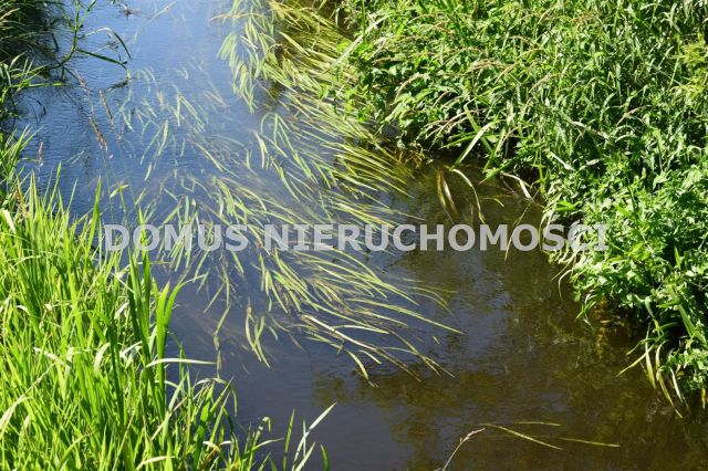 dom wolnostojący, 5 pokoi Józefin. Zdjęcie 21