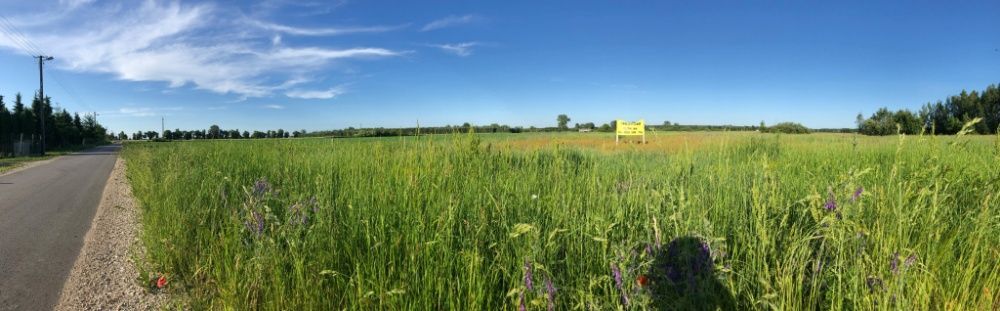 Działka rolno-budowlana Piaski. Zdjęcie 2