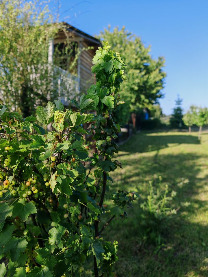 dom wolnostojący, 4 pokoje Mniszek. Zdjęcie 19