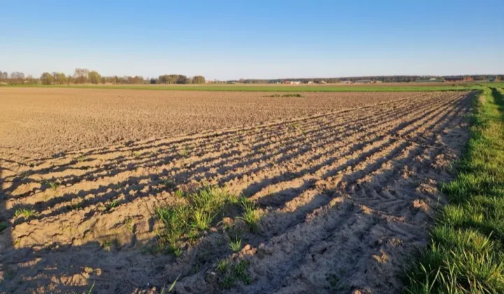 Działka budowlana Smoszew