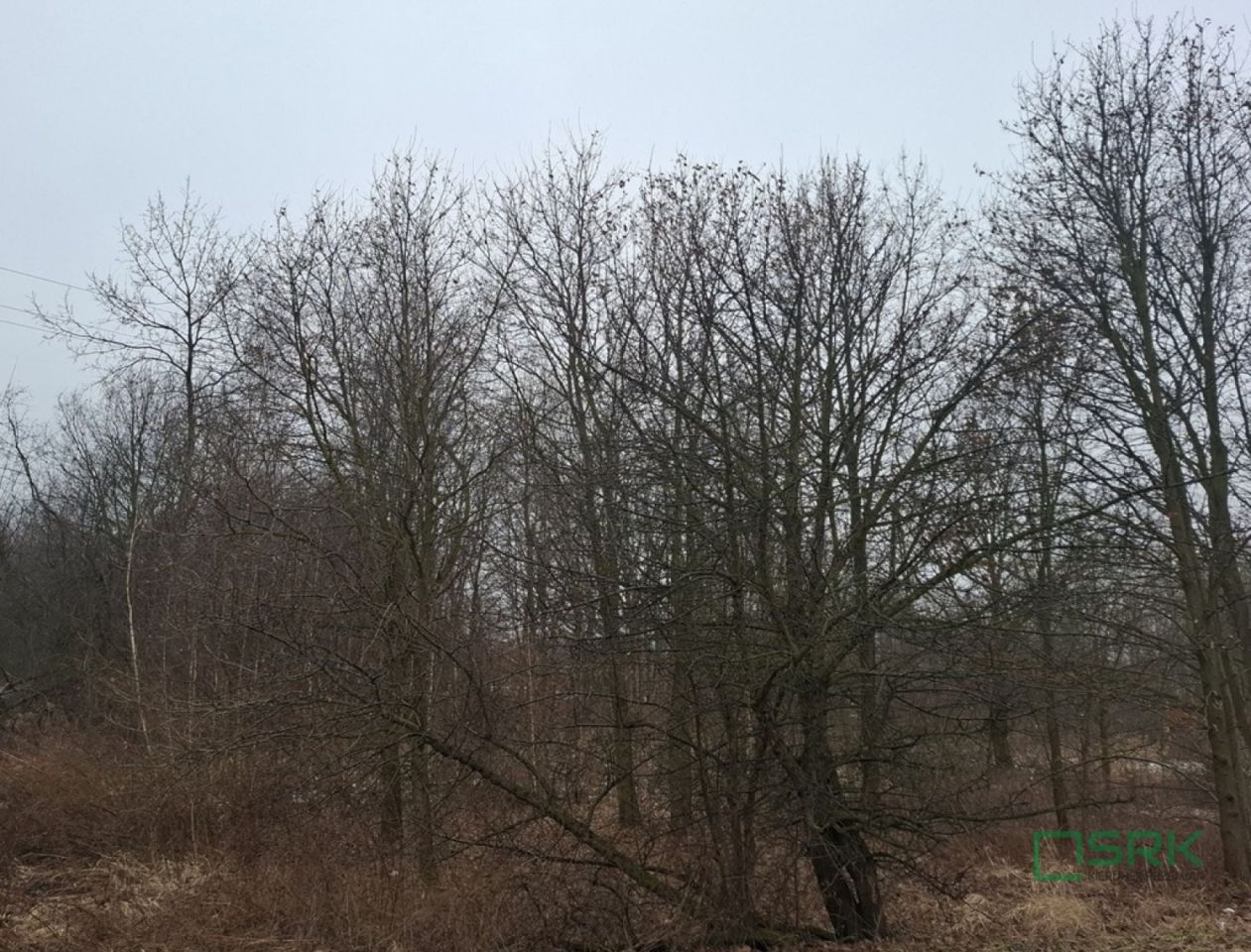 Działka inna Brzeszcze, ul. Przecieszyńska. Zdjęcie 3