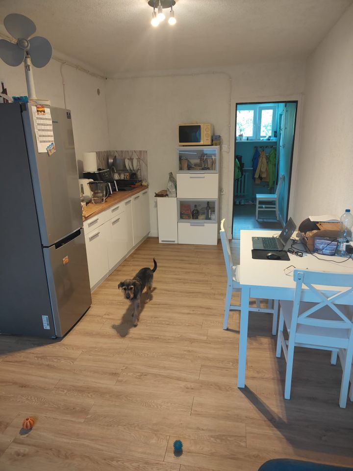 Mieszkanie 3-pokojowe Wrocław Gajowice, ul. Żelazna. Zdjęcie 1