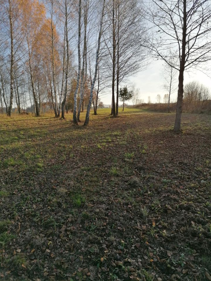 Działka rolno-budowlana Gniewce. Zdjęcie 4