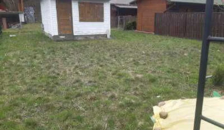 Działka rekreacyjna Brzóza Królewska