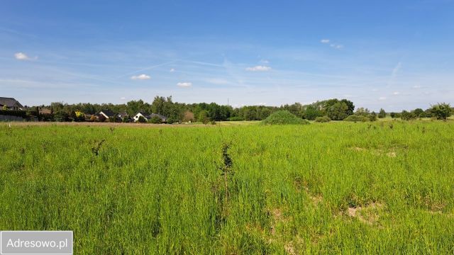 Działka rolno-budowlana Wąwelnica. Zdjęcie 1