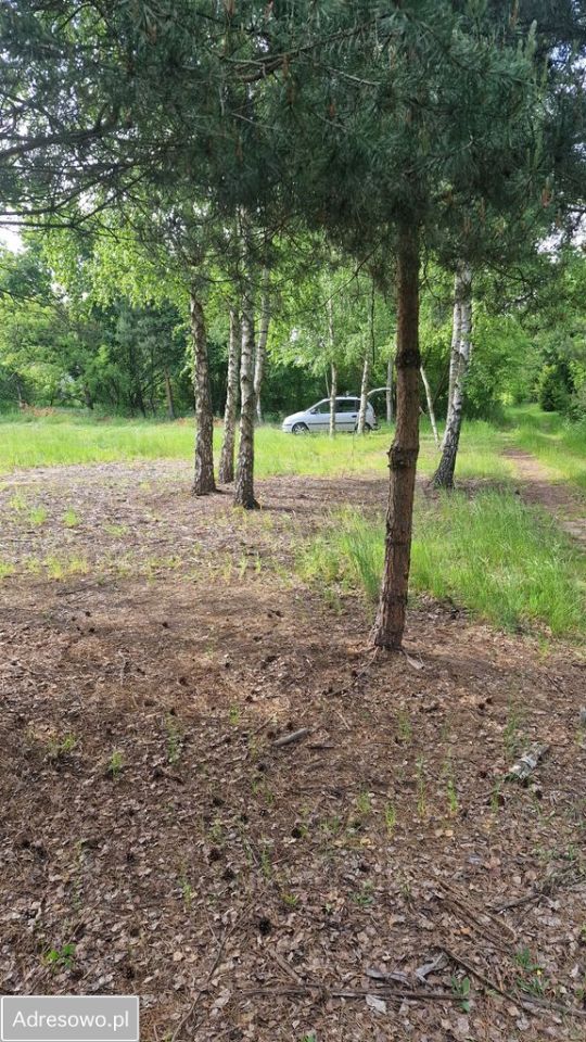 Działka budowlana Nowe Wrońska. Zdjęcie 4