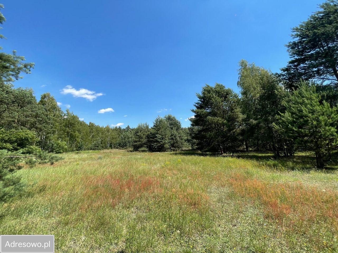 dom wolnostojący, 6 pokoi Czarne Błoto. Zdjęcie 14