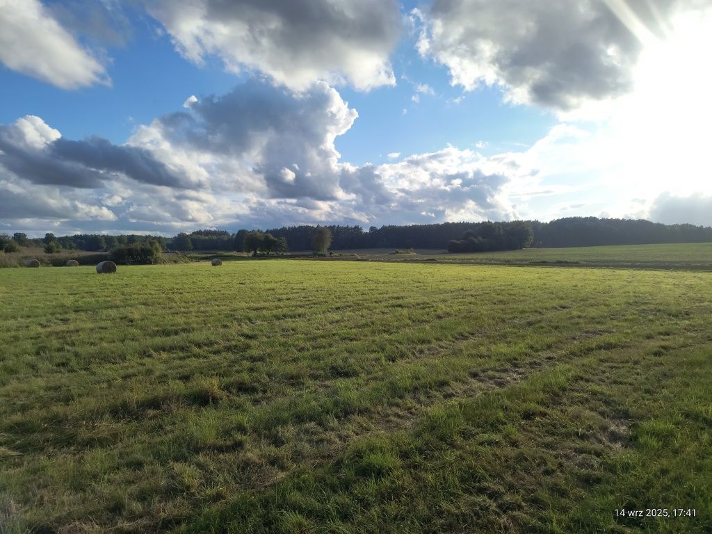 Działka budowlana Łąkie. Zdjęcie 1