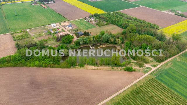 Działka rolna Kutno. Zdjęcie 12