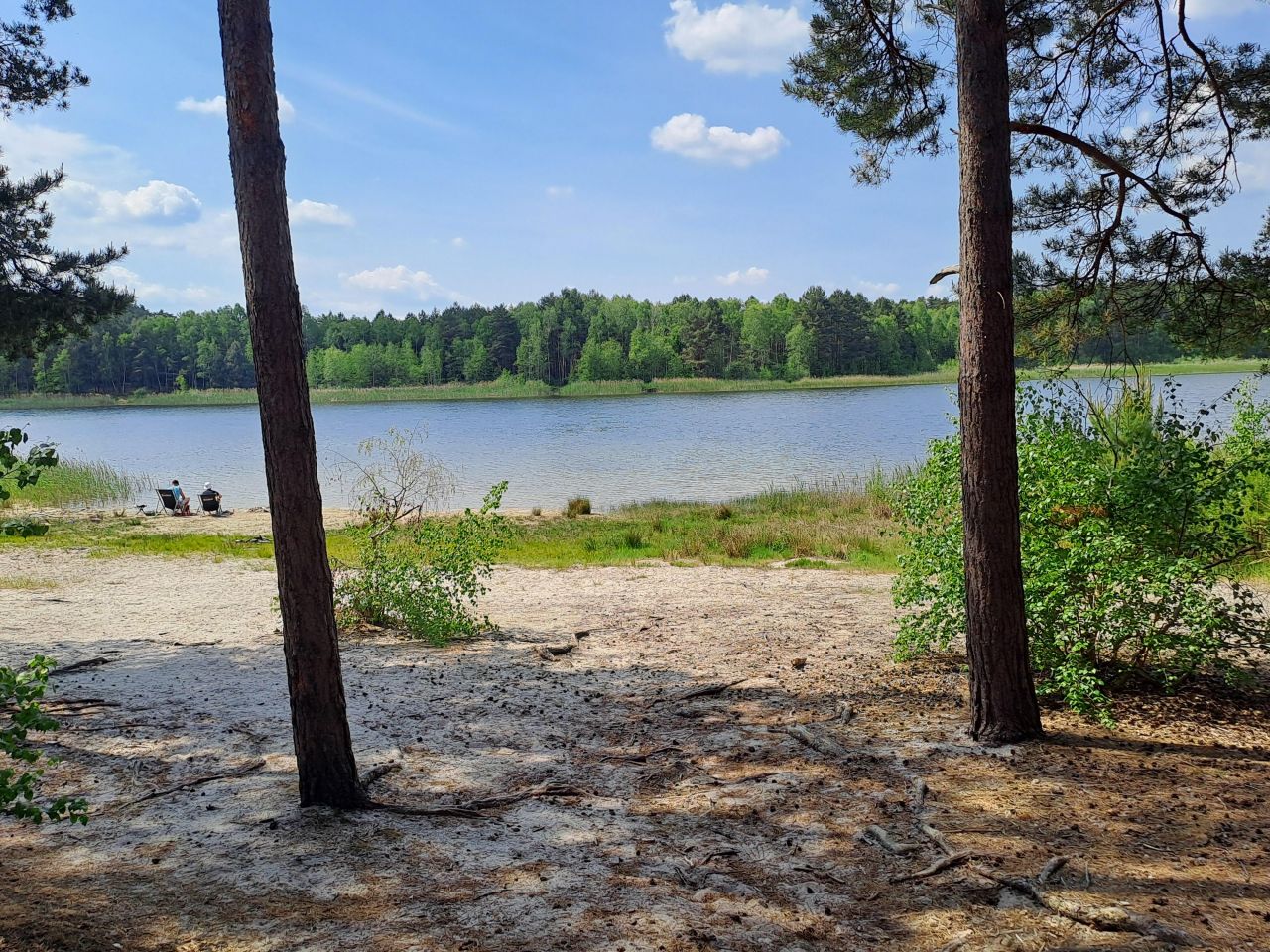 Działka rekreacyjna Bronków. Zdjęcie 7