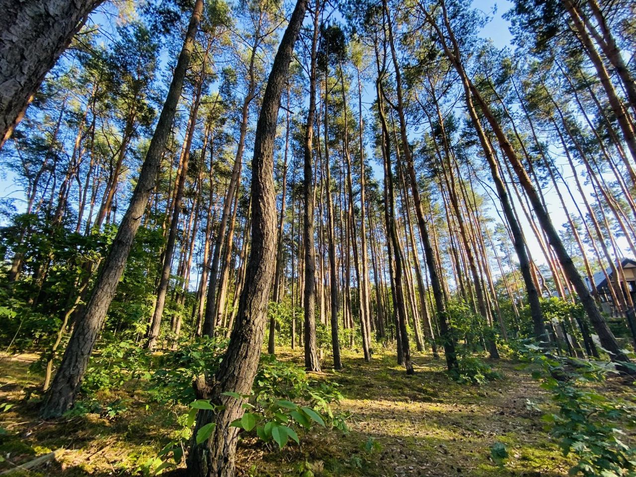 Działka budowlana Józefów, ul. Skrajna