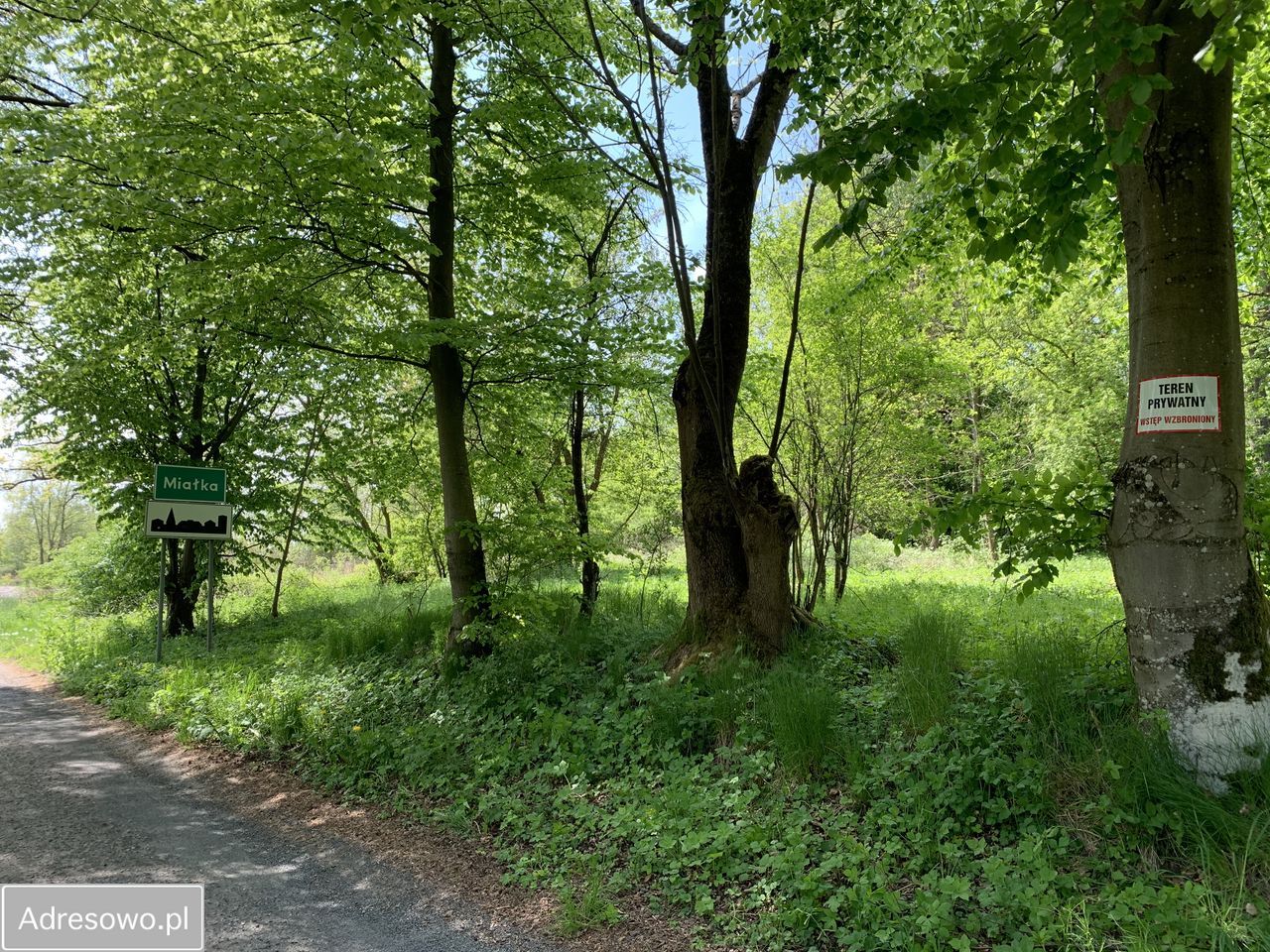 Działka budowlana Miałka. Zdjęcie 19