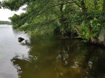 dom wolnostojący, 7 pokoi Strączno. Zdjęcie 4