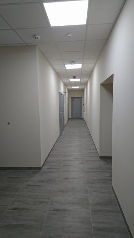 Hala/magazyn Elbląg Centrum, ul. Malborska. Zdjęcie 5