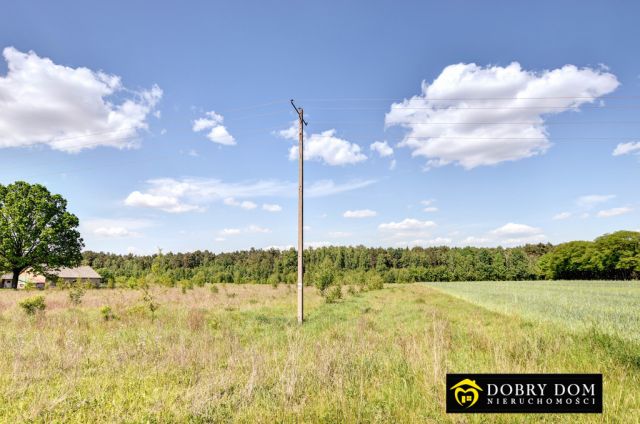 Działka budowlana Białowieża. Zdjęcie 2