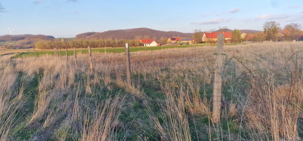 Działka budowlana Wierzchosławice. Zdjęcie 6