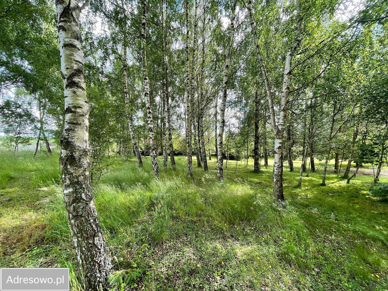 dom wolnostojący, 4 pokoje Skarszewy, ul. Nad Stawem. Zdjęcie 7
