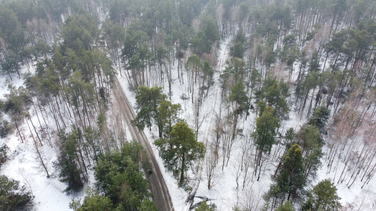 Działka leśna Nowy Staw. Zdjęcie 2