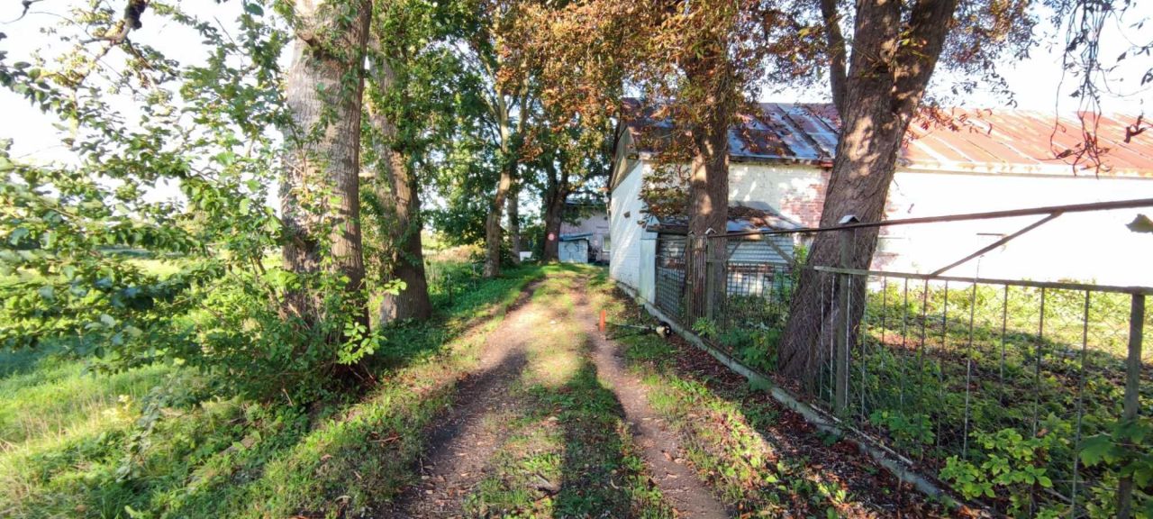 gospodarstwo Bielkowo. Zdjęcie 3