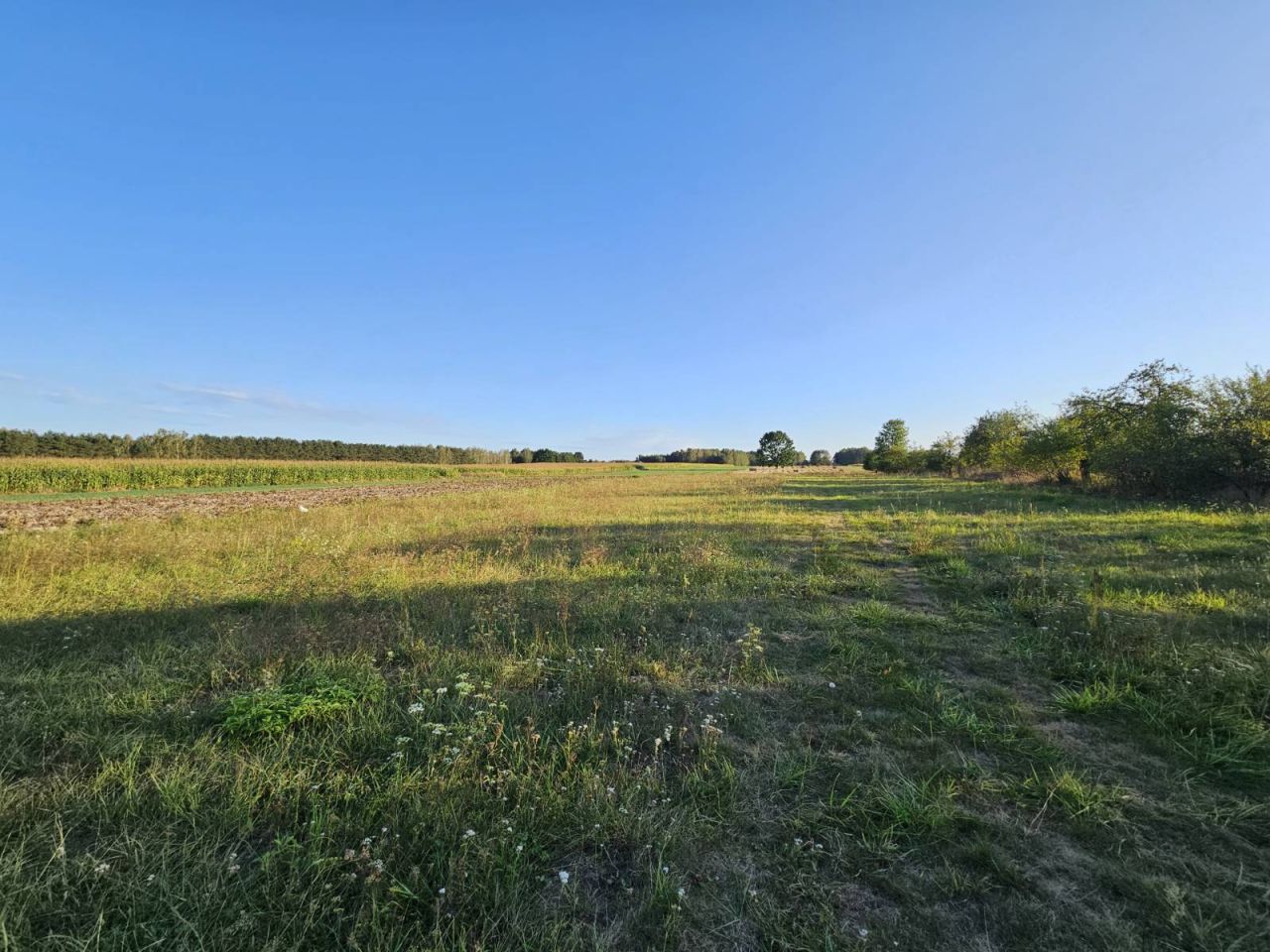 Działka budowlana Wola Pasikońska. Zdjęcie 4