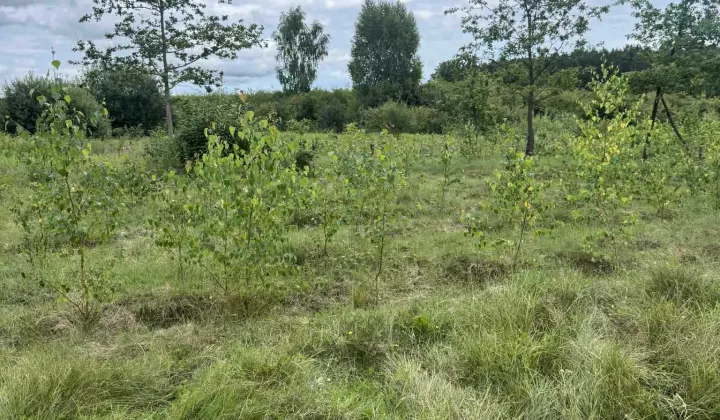 Działka rekreacyjna Ostrów