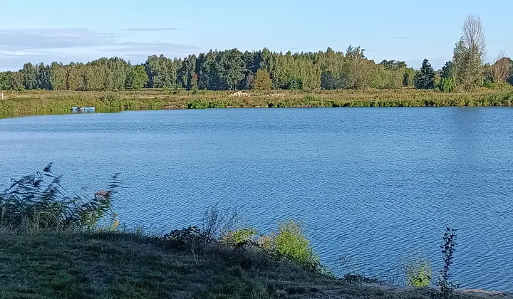 Działka rolna Gózdek