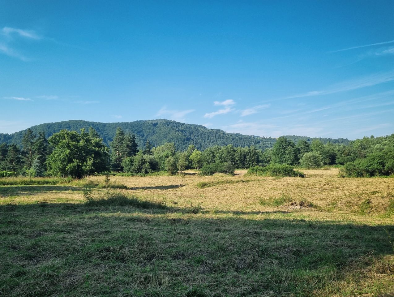 Działka budowlana Jeleśnia, ul. Sosnowa. Zdjęcie 6