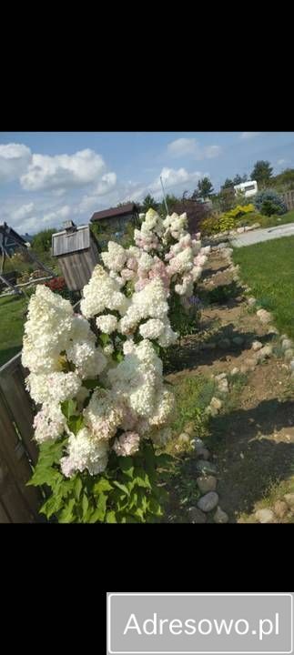 Działka rod Kuków. Zdjęcie 7