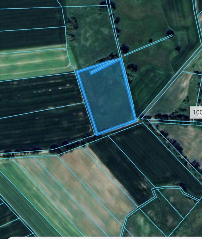 Działka rolna Budzice. Zdjęcie 2