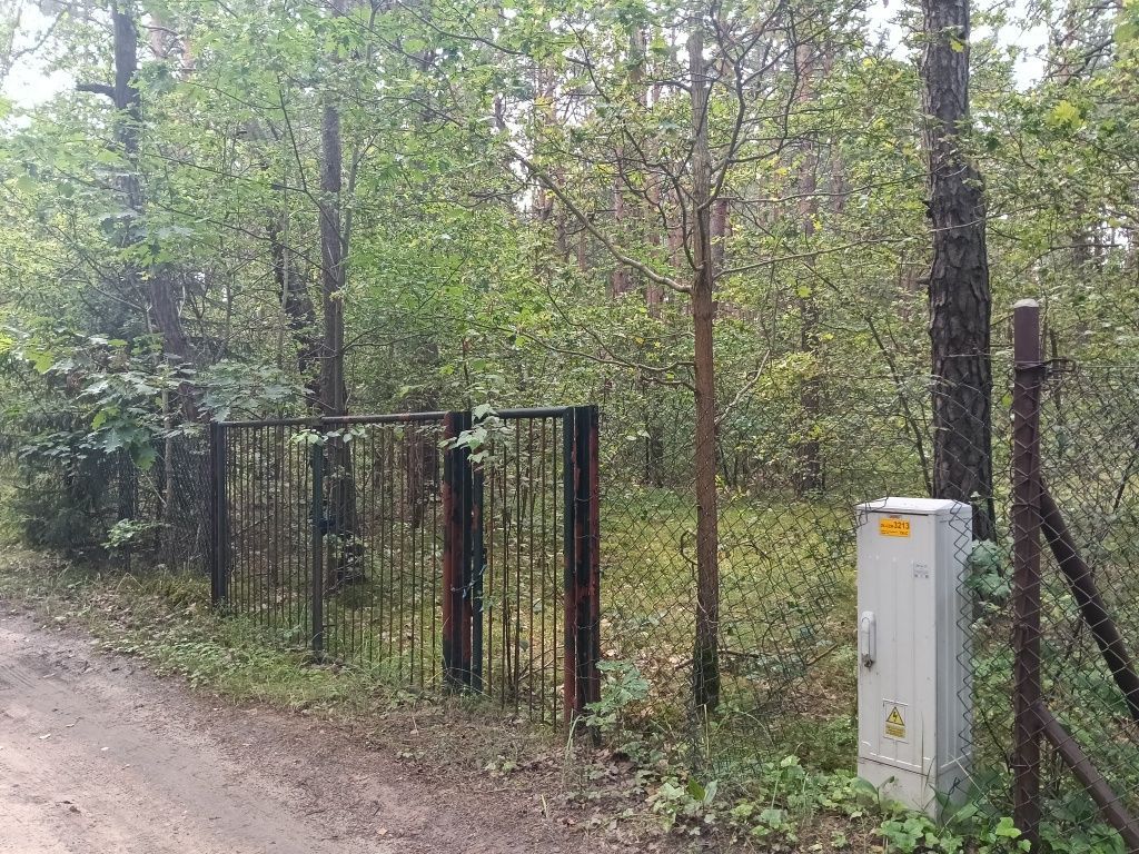 Działka leśna Myszków Nowa Wieś Żarecka, ul. Pawia. Zdjęcie 3